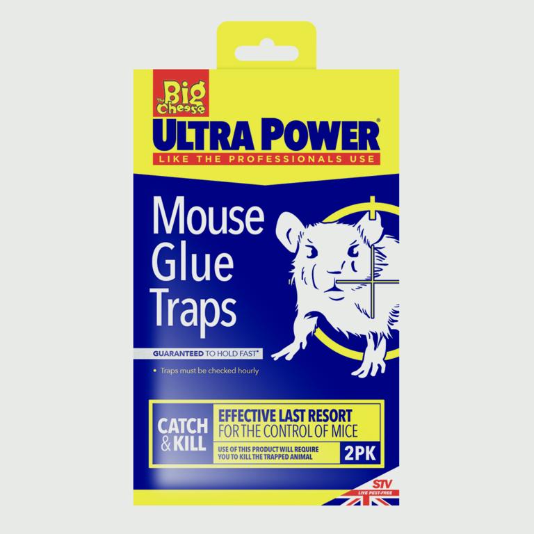 The Big Cheese-RTU Mouse Glue Traps
