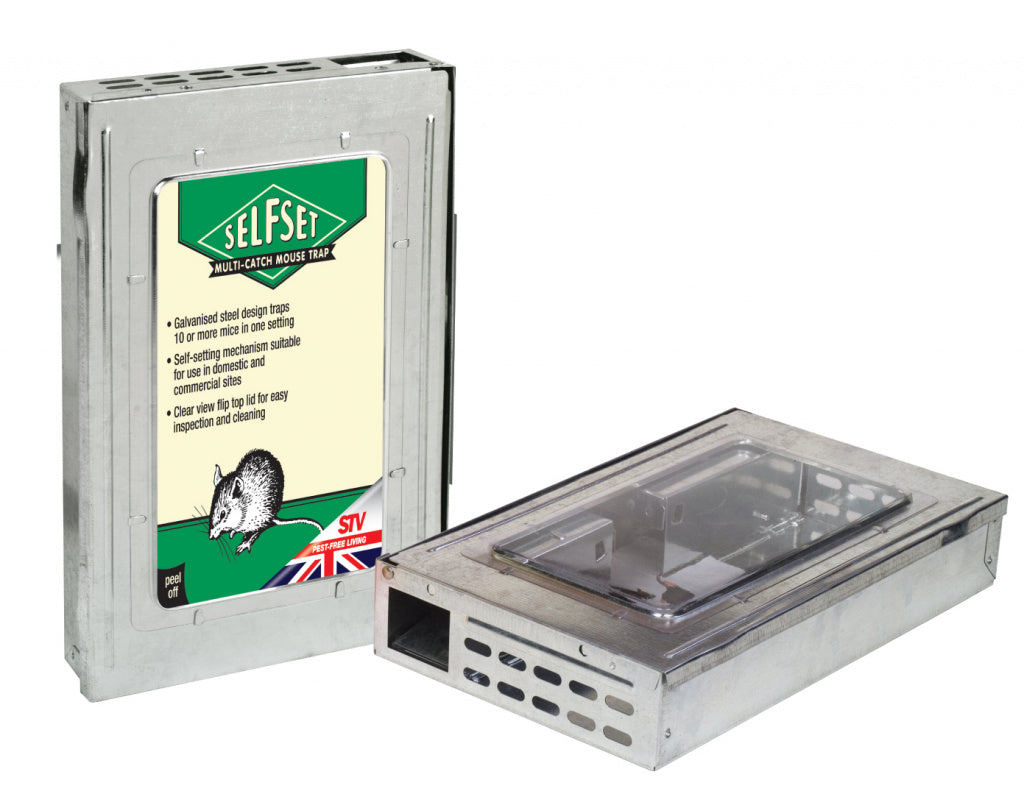 The Big Cheese-Self Set Multi Catch Mouse Trap