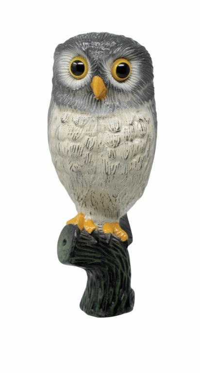 Defenders-Little Owl