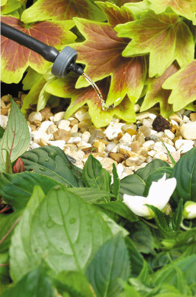 Hozelock-4 LPH End of Line Pressure Compensating Dripper