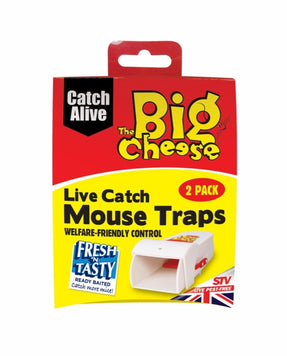 The Big Cheese-Live Catch RTU Mouse Trap