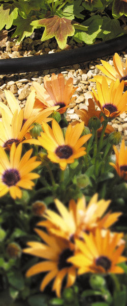 Hozelock-90° Elbow Connector 13mm