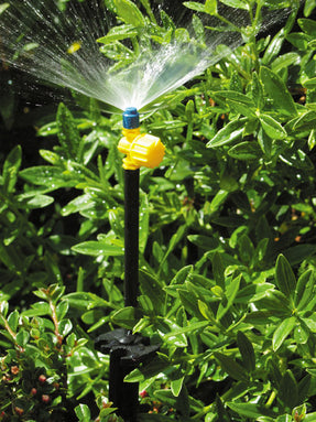 Hozelock-Adjustable Microjet