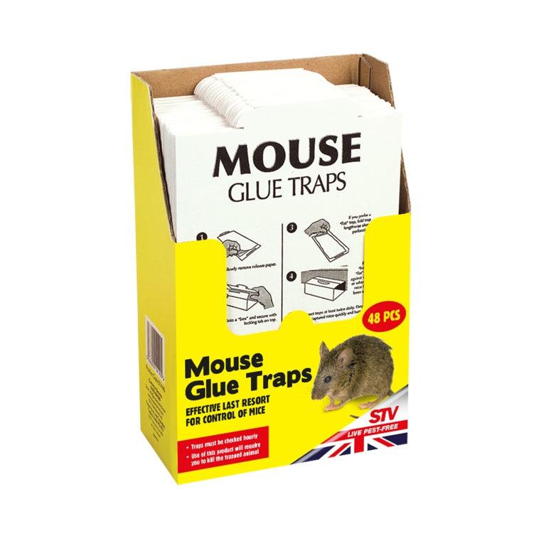 The Big Cheese-Mouse Glue Trap